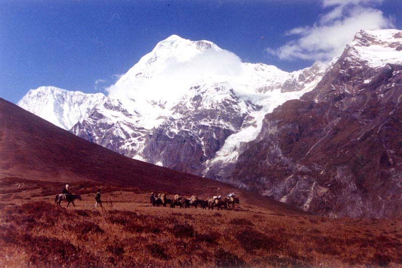 Snow Leopard Trek Package