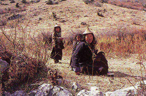 Snow Leopard Trek Package