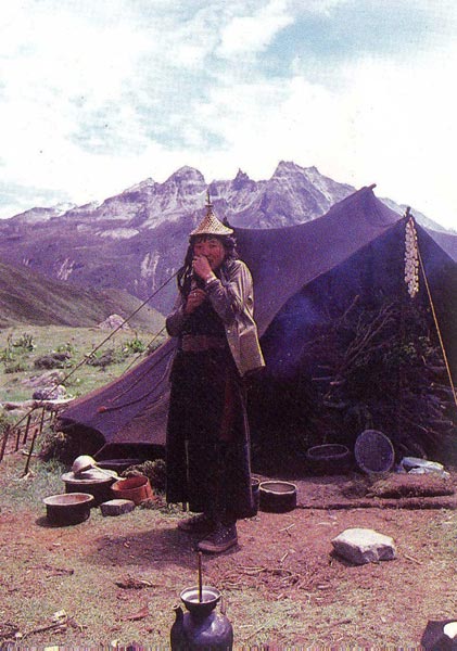 Snow Leopard Trek Package