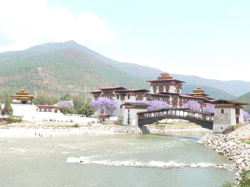 Snow Leopard Trek Package