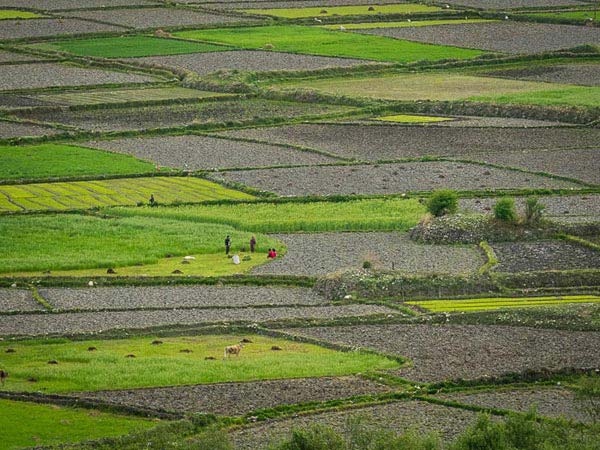 Journey to Bhutan Package