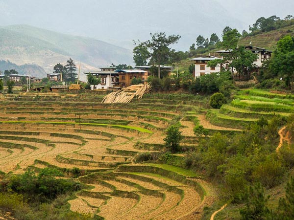 Journey to Bhutan Package