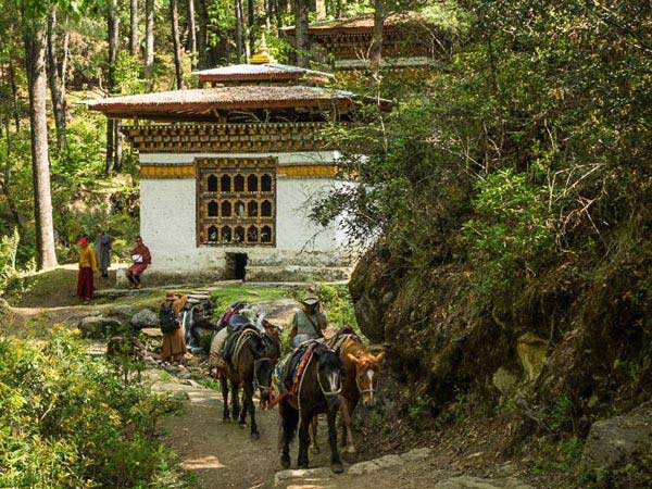 Journey to Bhutan Package