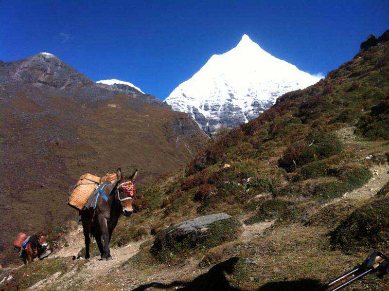 Jomolhari Trek Tour