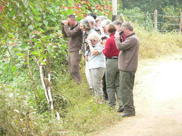 Bhutan Birding in Himalaya Tour