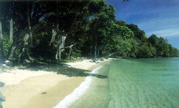 Andaman Tour Package (B)