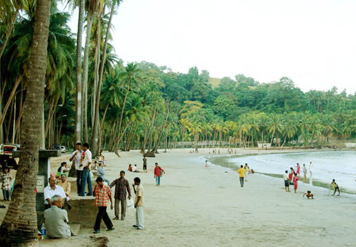 Andaman Tour Package (B)