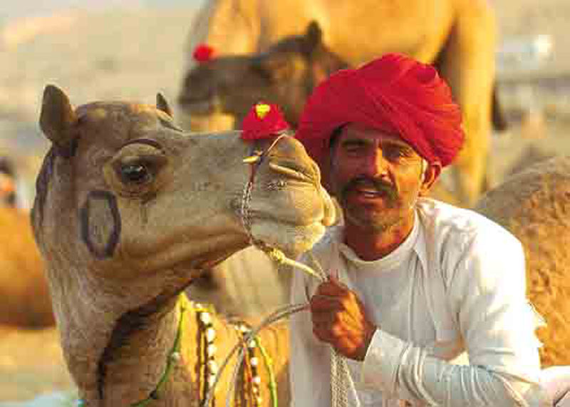 Royal Rajasthan Tour Package