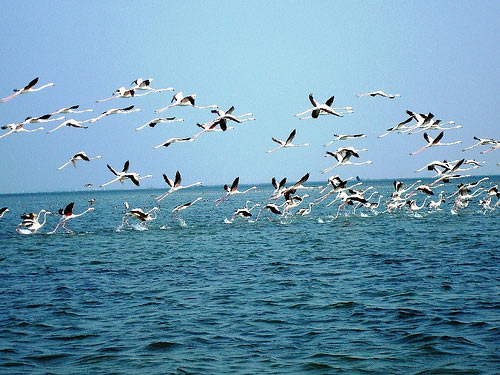 Golden Triangle - Odisha Tour Package