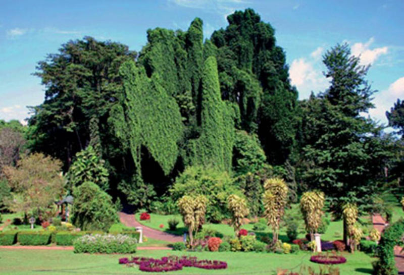 Sri Lanka Sojourn Tour Pacakge