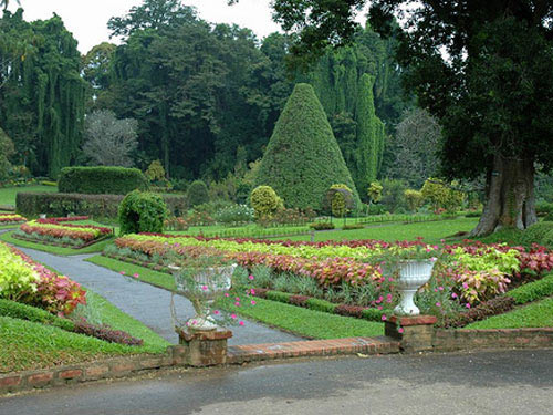 Sri Lanka Sojourn Tour Pacakge