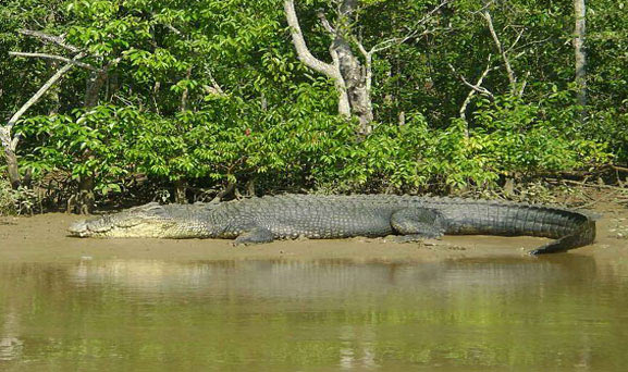 Student Tour - Odisha Tour Package