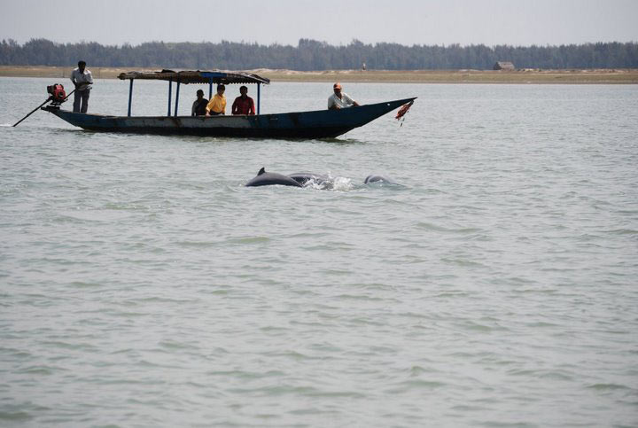 Golden Triangle of Odisha with Gopalpur Tour Package