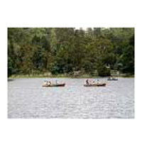 Ooty - Kodaikanal Tour