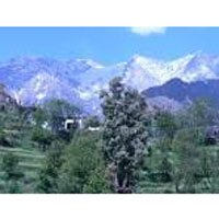 Dharamshala / Dalhousie Tour
