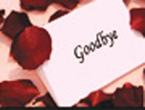 Tulip Special Package