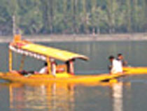 Tulip Special Package