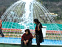 Tulip Special Package