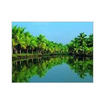 Taste Of Kerala Tour