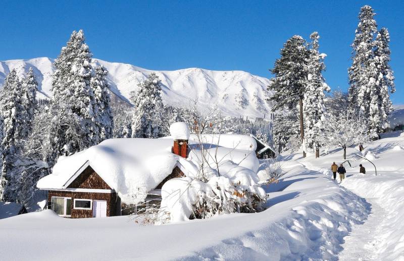 Srinagar, Pahalgam, Gulmarg Tour