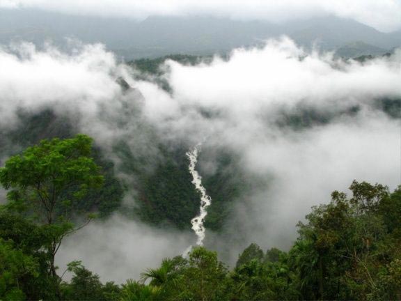 Romantic Wayanad Tour Package - 2N/3D