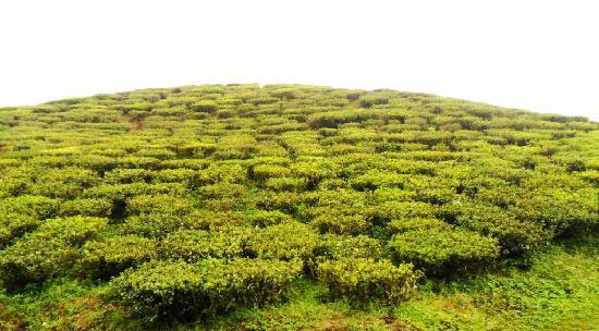 Three Jewels of Eastern Himalayas Package