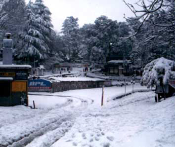 Kasauli Tour