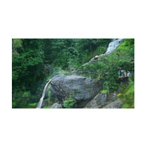 Spritual Kerela Tour