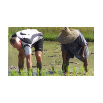 Spritual Kerela Tour