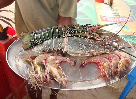 Fun-filled Week in Goa Package