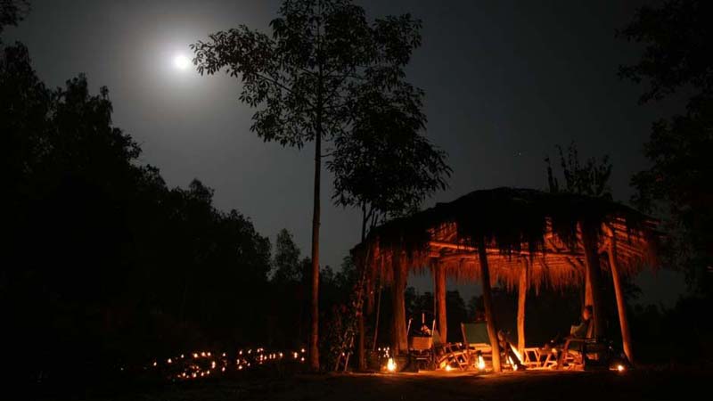 Wild Life Tour in Madhya Pradesh