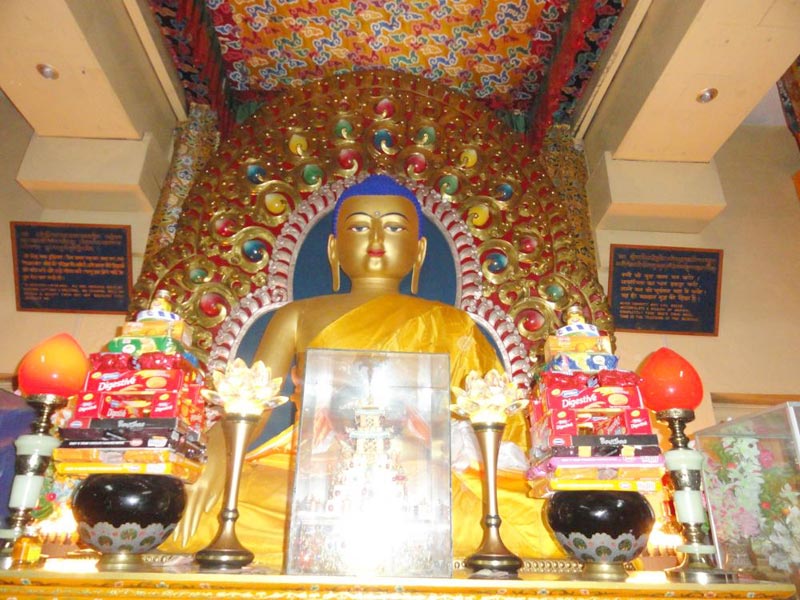 Amritsar - Dharamshala - Palampur - Kangra Tour