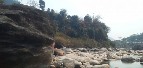 3 Nights 4 Days at Dooars