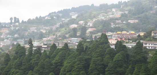 Darjeeling - Kalimpong - Delo Package (4D/3N)