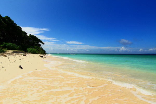 Andaman Tour Package