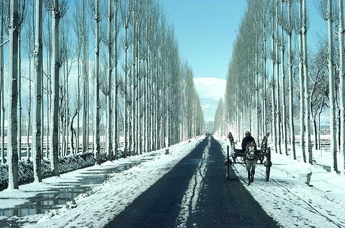 Amarnath Yatra Package