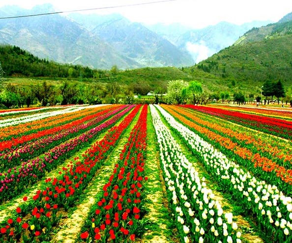 Kashmir Package Package