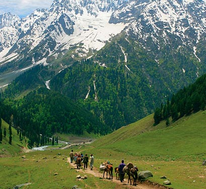 Kashmir Package Package