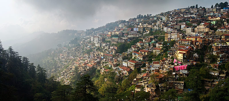 Delhi - Shimla - Delhi 3days / 2 Nights Tour