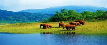 Cochin - Guruvayur - Kaladi - Munnar – Thekkady - Alleppey Houseboat - Cochin 06 Days / 05 Nights
