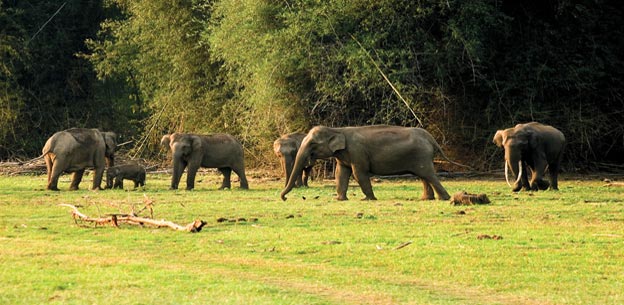 Kerela Tour - God's Own County