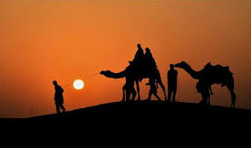 Romance Between Hills - Mount Abu Tour