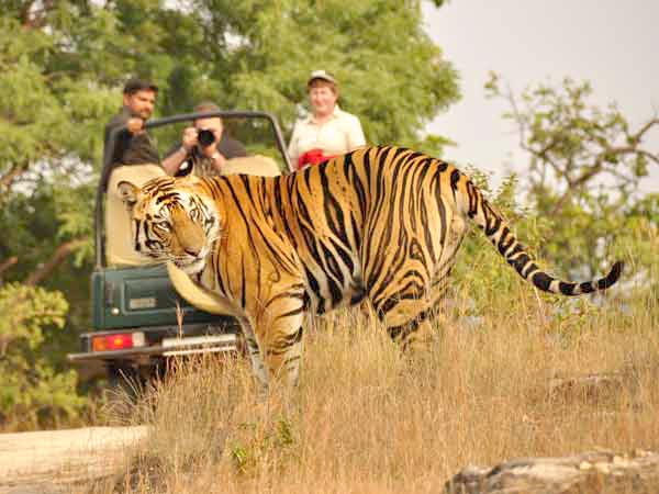 Delhi - Jaipur Tour..