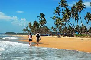 Goa's Great Beach Tour