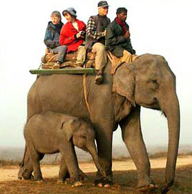 Elephant Safaris In India