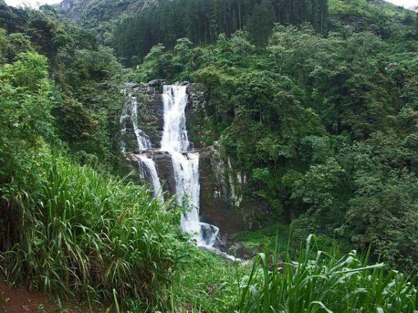 Kandy - Nuwaraeliya - Colombo Tour