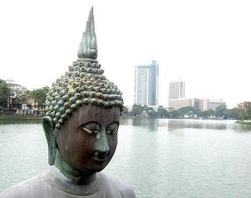 Kandy - Nuwaraeliya - Colombo Tour