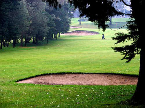 Sigiriya - Habarana/Giritele - Kandy - Nuwaraeliya Tour