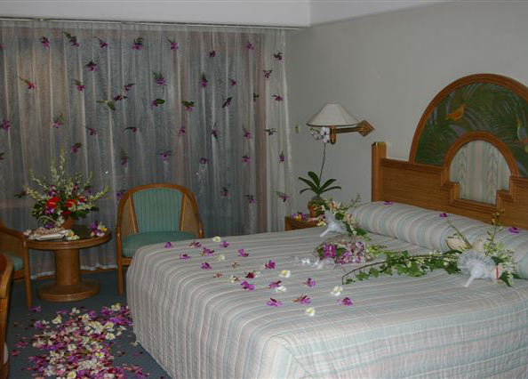 Adam and Eve Golden Moments Package