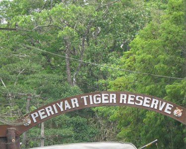 Feel the Green Magic in Kerala Glorious Package